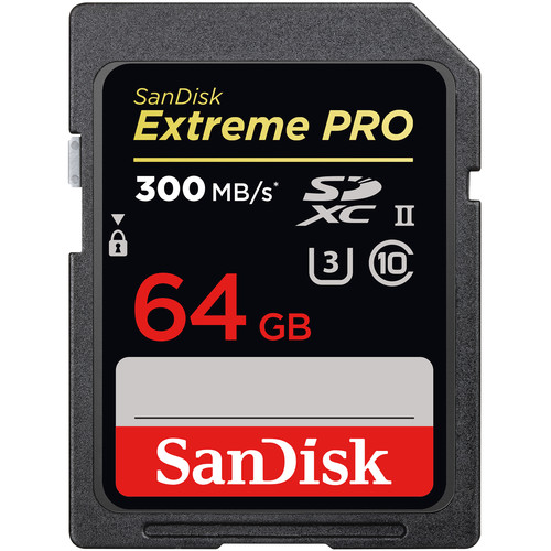 sandisk recovery pro